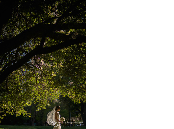 lee park dallas bridals